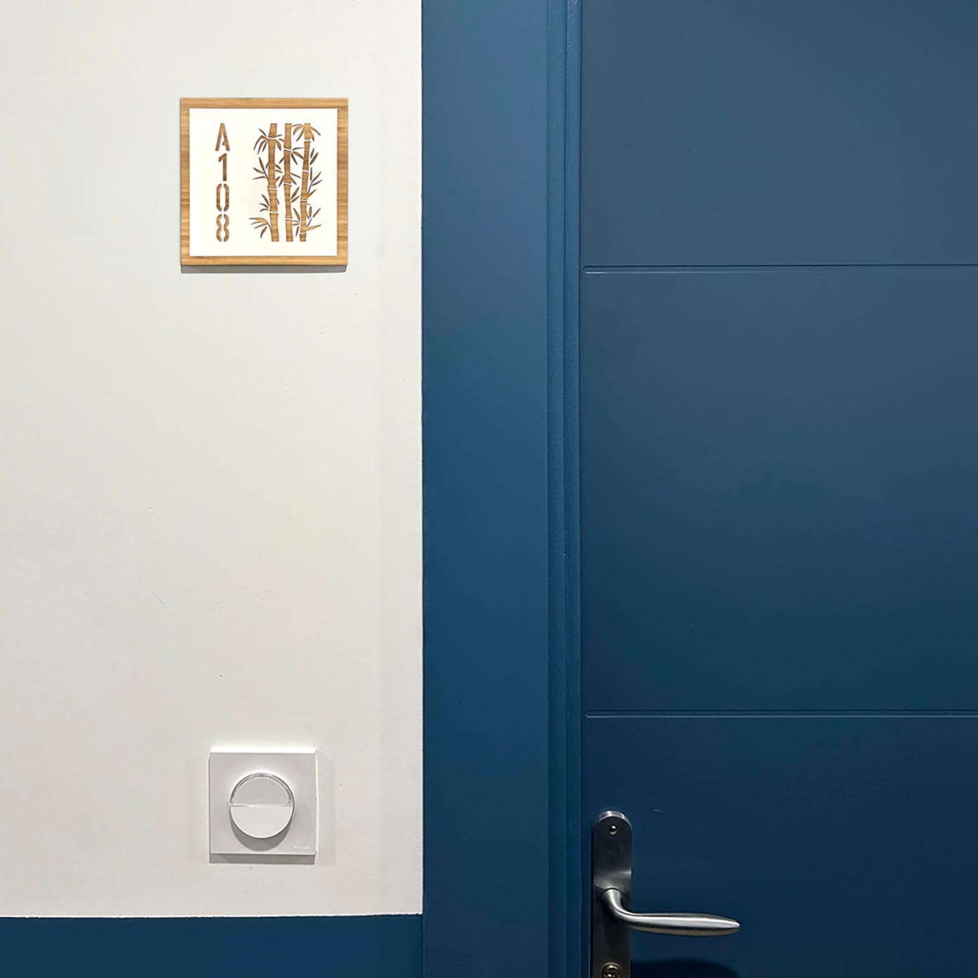 Bambou et Plexi