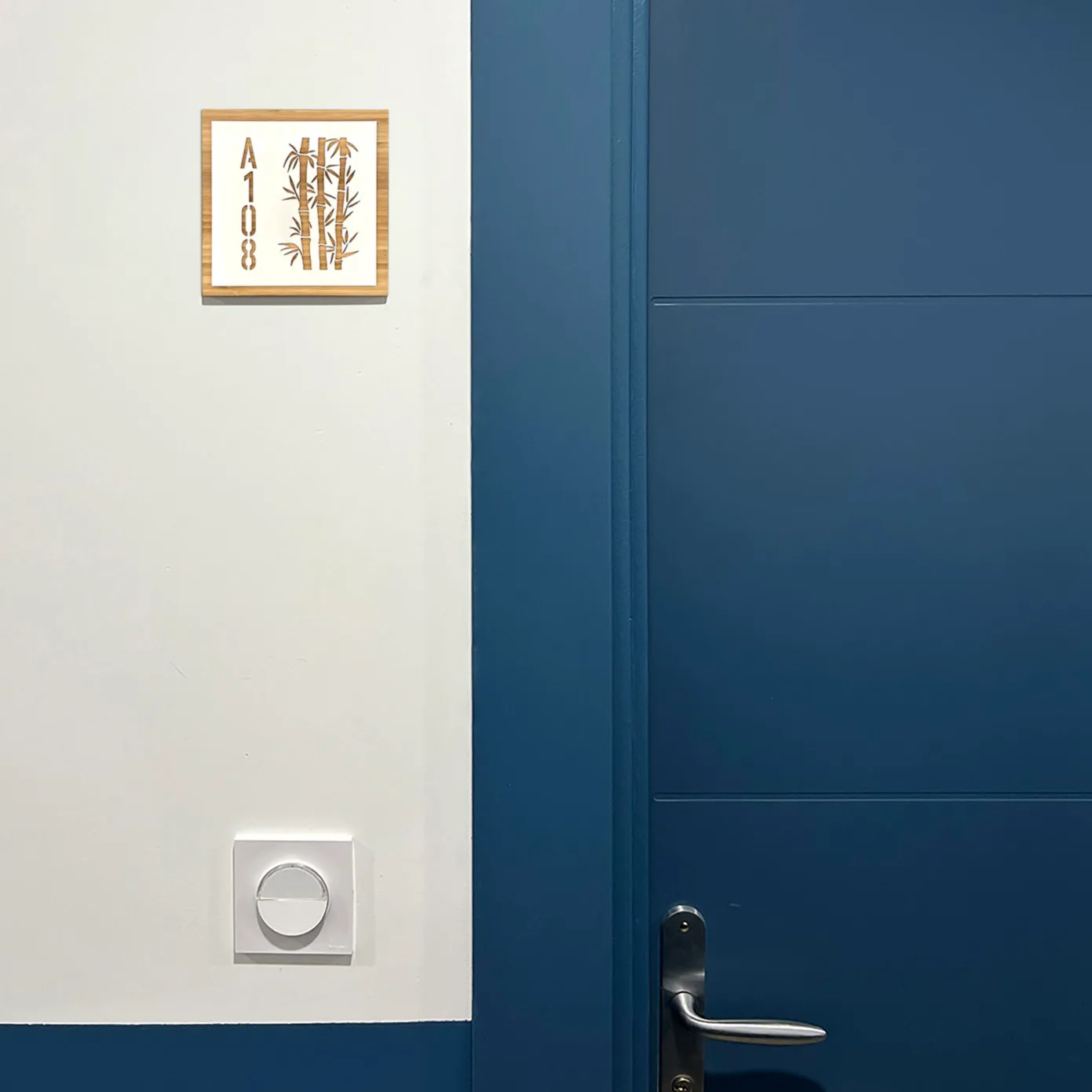 Bambou et Plexi